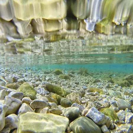 In Croatia Near Adriatic Coast فيلة