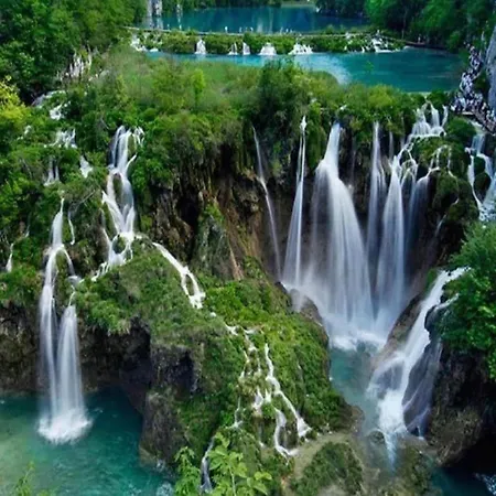 In Croatia Near Adriatic Coast Vila *